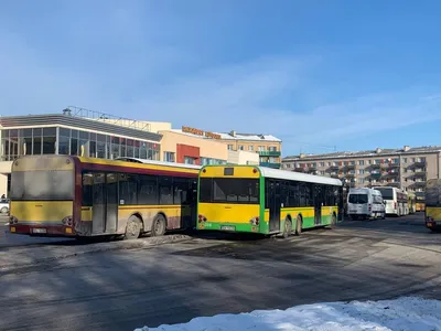 Закупка новых автобусов обойдется Воронежской области в 746 млн рублей |  Интернет-газета Время Воронежа