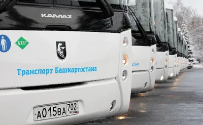 Автобус SIMAZ 2258-538 - Купить у официального дилера в Санкт-Петербурге |  ЛКТ С-З