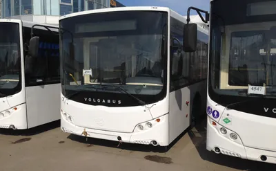 Автобус KING LONG XMQ6129Y | Бизнес+