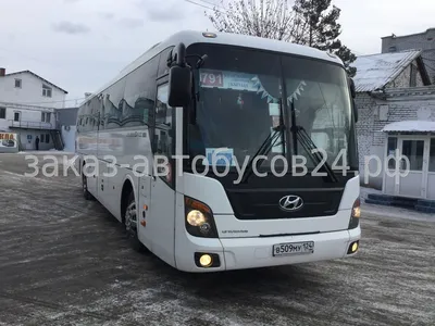 Уже можно заказать новый автобус - Hyundai Universe - Междуречье Авто |  Автобусы 35