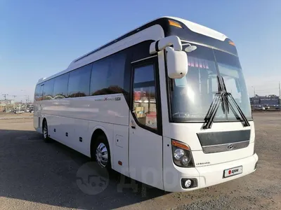 Автобусы Hyundai в Казахстане - продажа пассажирских автобусов Hyundai на  OLX.kz