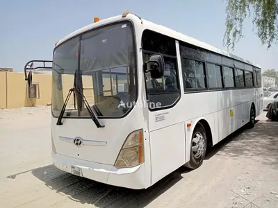 Купить туристический автобус Hyundai Hyundai 6 cylinder with AC Япония  Chiba ken, LR31464