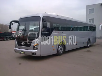 Автобус Hyundai Universe в аренду с водителем в Москве по НИЗКОЙ цене -  компания 1001 bus