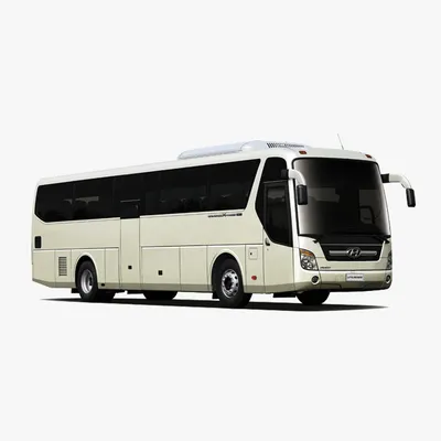 Hyundai Universe Space Luxury (43 мест) – Купить билет на автобус. МалАвто.  Северодвинск.