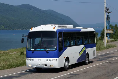 Аренда автобуса Hyundai, 43-49 мест с водителем в Пензе