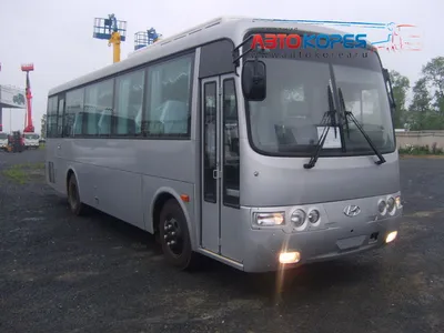 Автобус Hyundai Universe 43 места — Большие автобусы 40-60 мест — Наши  услуги — ТЛК