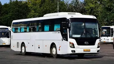 Аренда автобуса Hyundai - заказать Hyundai в Москве, цены