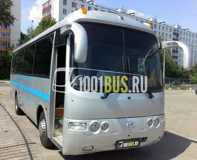 Автобус «Hyundai» 47 мест