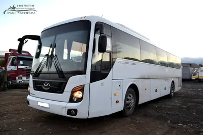 Автобус на 30 мест такси Hyundai Aero Town (351) — заказ по Москве, в  аэропорт, на свадьбу за 900 руб. | Cтарое такси Москва
