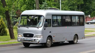 Автобус Хендай Каунти - автопарк компании Басфор