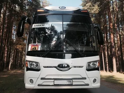 Автобус KIA Granbird 45+1 место — Большие автобусы 40-60 мест — Наши услуги  — ТЛК