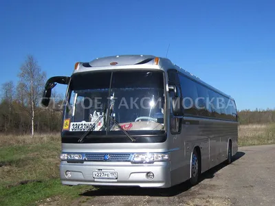 Автобус Kia Grandbird (421) в аренду с водителем в Москве по НИЗКОЙ цене -  компания 1001 bus