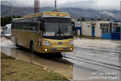 Туристический автобус Kia Granbird, 09 г. в Хабаровске №119782S23592919