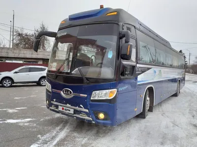 Автобус Kia Grandbird (421) в аренду с водителем в Москве по НИЗКОЙ цене -  компания 1001 bus