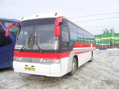 Автобус Kia Granbird 47 с водителем в аренду - низкие цены | биржа  транспорта VSEBUSY