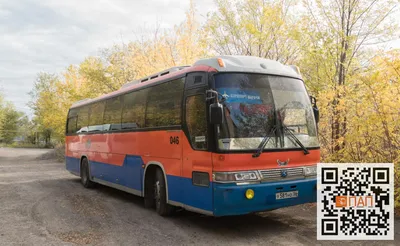 Автобусы Kia Granbird (421) в аренду в Москве - компания \"Свадебные Авто\"