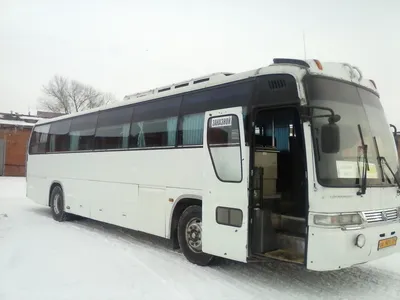 Автобус на 40 мест такси Kia GrandBird (875) — заказ по Москве, в аэропорт,  на свадьбу за 1000 руб. | Cтарое такси Москва