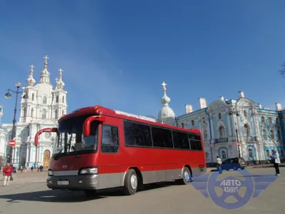Арендовать автомобиль Автобус Kia Granbird, на 35 чел. Т284543 в компании  EXTRABUS в Москве - Wed By Me
