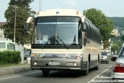 Киа Гранберд — стоковые фотографии и другие картинки Автобус - Автобус, Без  людей, Бизнес - iStock