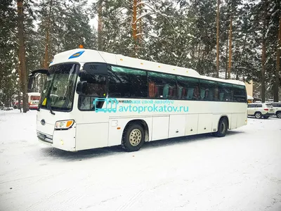 Купить Kia Granbird Междугородный автобус 2009 года в Абакане: цена 1 750  000 руб., дизель, механика - Автобусы