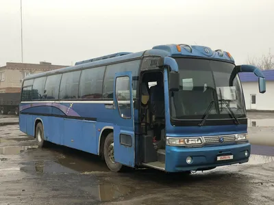 Автобус KIA гранберд в Краснодаре №0S3323625