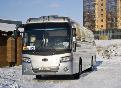 Купить Kia Granbird Междугородный автобус 2011 года в Москве: цена 2 800  000 руб., дизель, механика - Автобусы