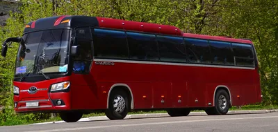 Аренда автобуса Екатеринбург, заказ автобуса, прокат автобуса на свадьбу в  Екатеринбурге, пассажирские перевозки | Авеню96.ру