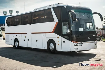 Заказать автобус King Long XMQ6127C - Пассажирские перевозки. Транспортные  услуги по перевозке пассажиров.