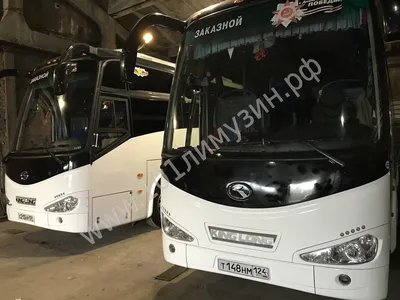 Аренда автобуса на 50 мест с водителем в Санкт-Петербурге