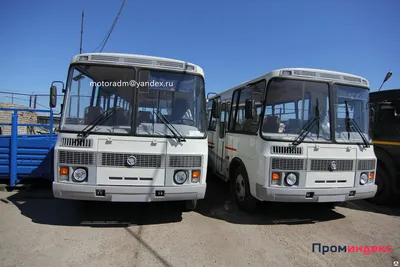 File:Автобус ПАЗ-3205 в Набережных Челнах.jpg - Wikimedia Commons