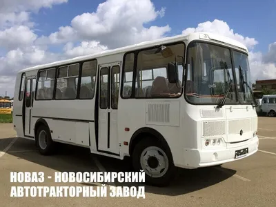 ПАЗ-32053 с новогодним баннером 2022 (Mungojerrie) из бумаги, модели  сборные бумажные скачать бесплатно - Автобус - Гражданская техника -  Каталог моделей - «Только бумага»