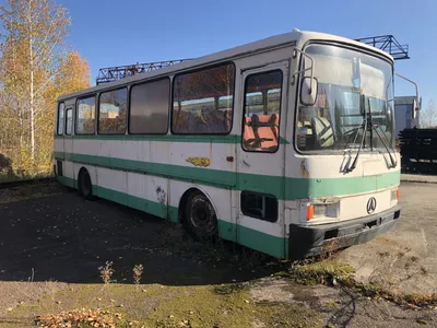 автобус ЛАЗ-695 городской Фестивальный (Ultra 1:43)