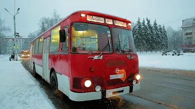 Раритетная техника в Новосибирске: смотрим на советский автобус ЛиАЗ-677 -  10 февраля 2023 - НГС