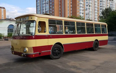 Автобус Лиаз-677 металл 15 см бело-красный - купить с доставкой по выгодным  ценам в интернет-магазине OZON (560226302)