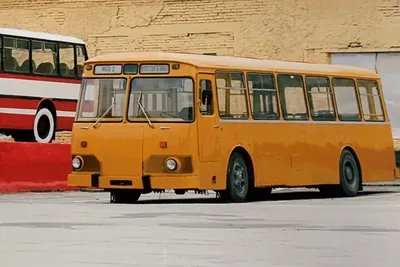 Раритетная техника в Новосибирске: смотрим на советский автобус ЛиАЗ-677 -  10 февраля 2023 - НГС