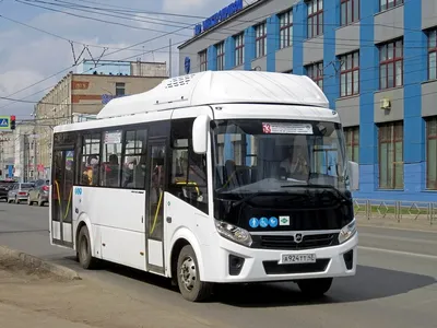 Во Владимир поставят 12 автобусов ЛиАЗ и два «ПАЗика» | Чеснок
