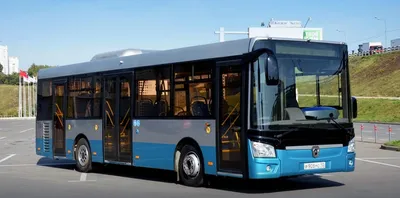 Выпущенные 29 лет назад автобусы \"ЛиАз\" пытается продать МП «Арзамасский  пассажирский автомобильный транспорт» 27 октября 2020 года | Нижегородская  правда