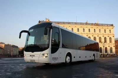 Аренда и заказ автобуса Man Regio 205 (Ман Регио) на 59 мест в  Санкт-Петербурге (СПб)
