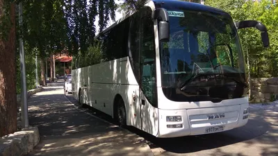 Man Lions Coach R07, 49 мест | Пассажирофф