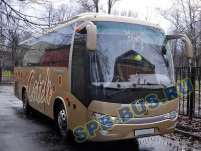 Аренда cреднего автобуса MAN Catch с водителем на 35 мест в Санкт-Петербурге
