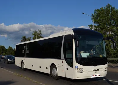 Аренда и заказ автобуса Man (Ман) на 59 мест в Санкт-Петербурге (СПб)