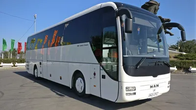 Автобус MAN 50 мест (кож.салон) — Центр заказа транспорта