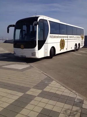 Аренда автобуса в Краснодаре недорого на 20, 35 и 50 человек