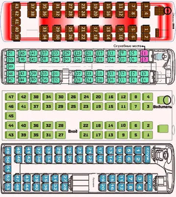 Салоны автобусов: типовые схемы расположения, порядок нумерации, фото :  ЯрКамп