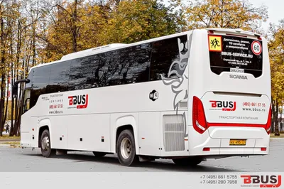 Трансфер и аренда автобуса Scania Touring 51 место белого цвета, 2019-2021  года с водителем