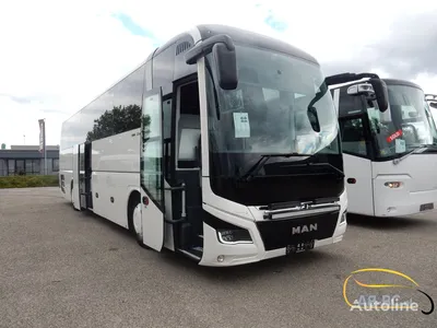 Купить туристический автобус MAN Lion's Coach, 51 Seats, Euro 6 Нидерланды  Hoogerheide, PL36160
