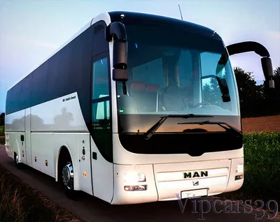 Аренда автобуса MAN с водителем Калининград | VIPCARS39