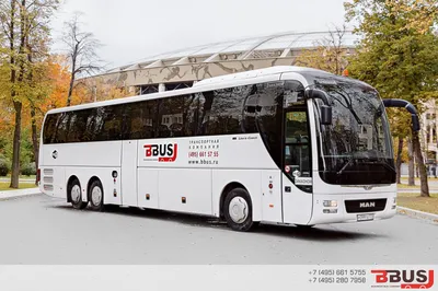 Аренда автобуса Ман класса ВИП (Man Lion`s Coach VIP) 49 мест.