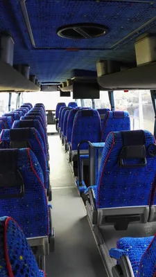 Аренда автобуса MAN Olimpia - схема рассадки пассажиров, фото - Валеокарс