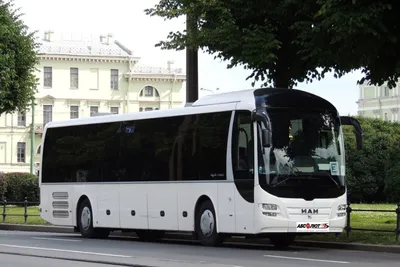 Аренда и заказ автобуса Man (Ман) на 59 мест в Санкт-Петербурге (СПб)